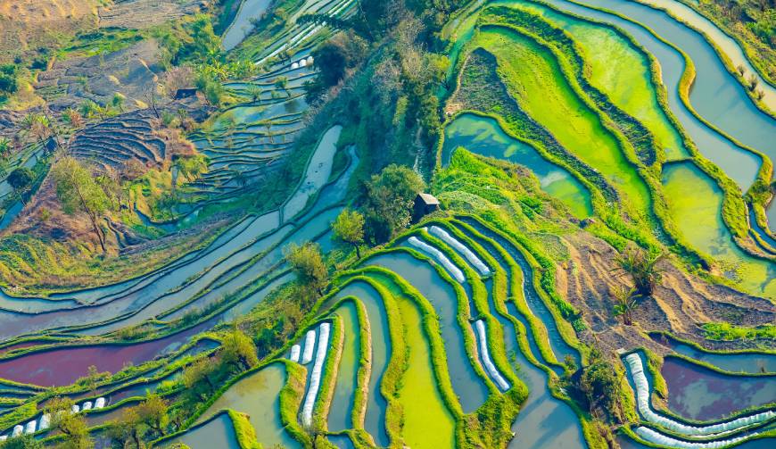 宝妈必备神器：洪雅县产品视频拍摄轻松育儿好帮手