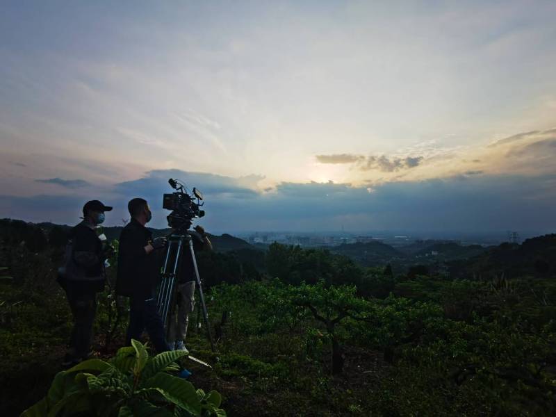 聚焦洪雅县产品宣传视频拍摄公司，用专业实力铸就品牌传播传奇