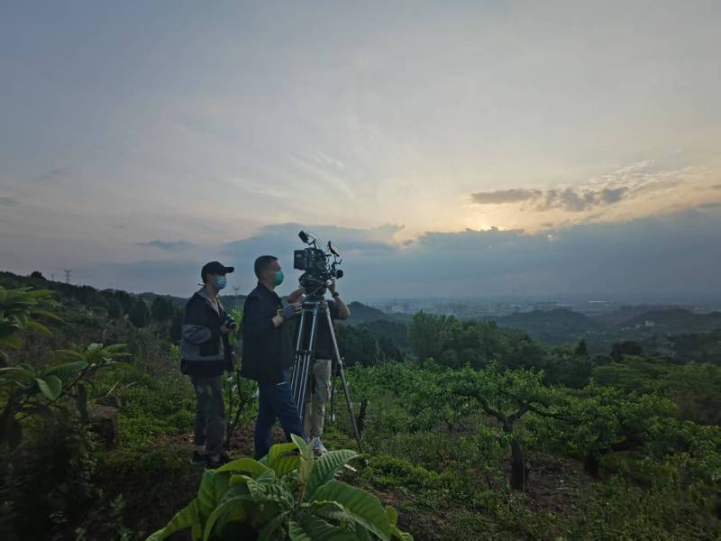 创意破圈！洪雅县电商产品宣传视频用故事化叙事引爆流量