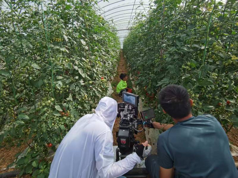 洪雅县产品宣传视频拍摄公司进阶指南，助力品牌抢占传播高地